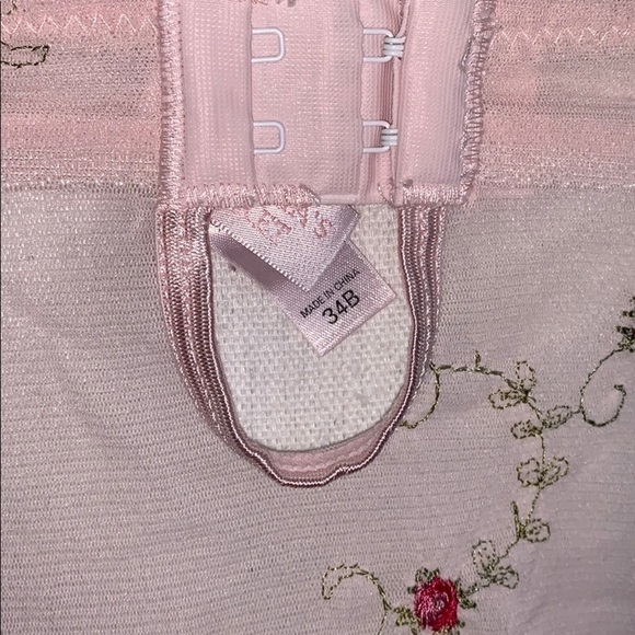 Victoria’s Secret Embroidered Mesh Bustier Cami - Picture 4 of 5